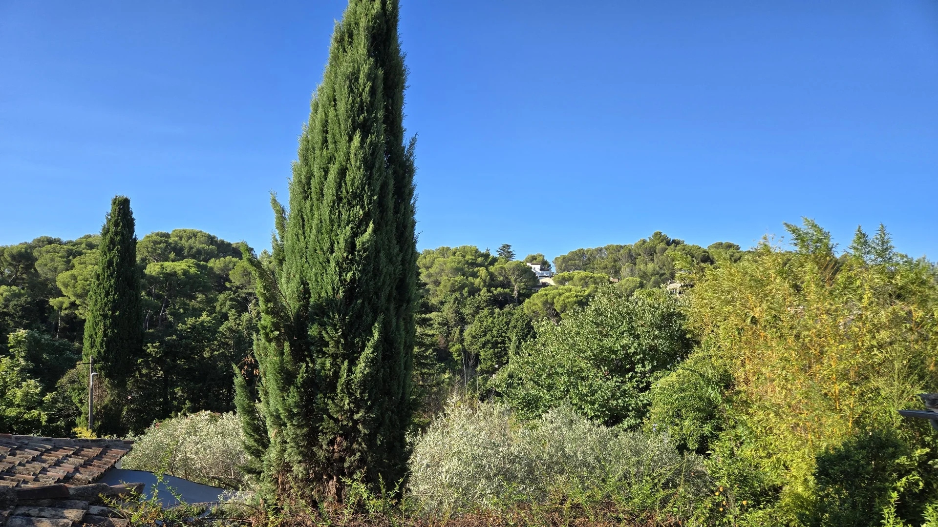 trouver une chambre d'hôtes calme et réservée aux adultes à Nîmes