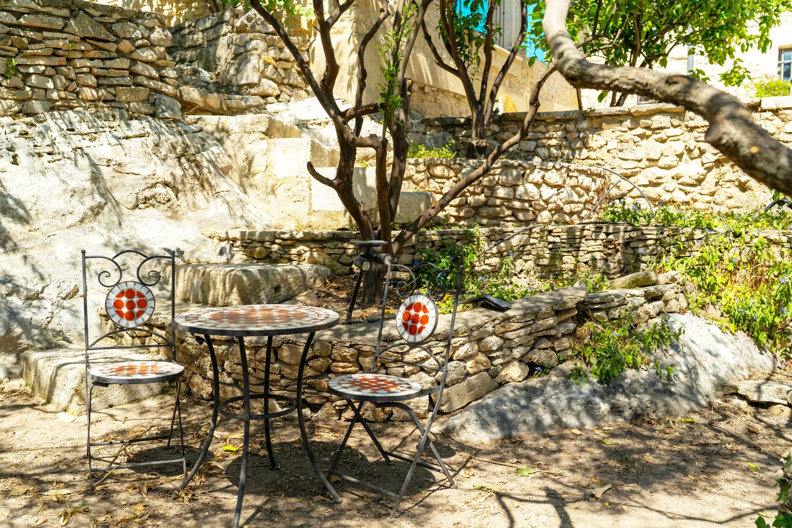 les oliviers de la maison d'hôtes à Nîmes